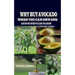 Why Buy Avocado When You Can Own One: A Step by Step Guide to Grow & Dwarf Tree
