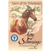 Spirit of the Warhorse: Kitty Silverwings, an Appaloosa Story
