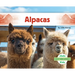 Alpacas