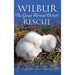 Wilbur: The Great Horned Owlet's Rescue