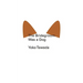 The Bridegroom Was a Dog