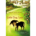 Little Dog, Lost