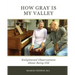How Gray is My Valley: Enlightened Observations About Being Old