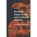 History, Experience and Cultural Studies