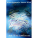 Winter People who Ride the Wind