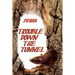 Trouble down the tunnel