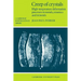 Creep of Crystals: High-Temperature Deformation Processes in Metals, Ceramics and Minerals