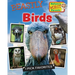 Beastly Birds