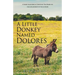 A Little Donkey Named Dolores: A Short Allegorical Christian Tale Based on the life journey of the author