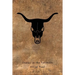 Fracas in the Foothills (A Homer Evans Western Mystery)