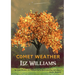Comet Weather