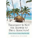 Treatment Is Not the Answer to Drug Addiction!: Divine Secrets to Living a Drug-Free Life