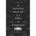 A Shining Beacon in a Pool of Darkness: Reflections of a Journey Unimagined