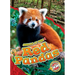 Red Pandas