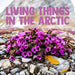Living Things in the Arctic: English Edition