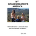 My Grandchildren's America
