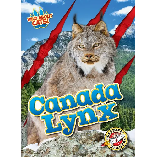 Canada Lynx