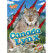 Canada Lynx