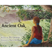 The Ancient Oak