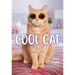 Cool Cat: A Wish Novel