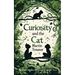 Curiosity and the Cat