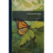 Coleoptera