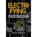 Electrifying Indonesia: Technology and Social Justice in National Development