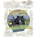 Explore the Eelgrass Meadow with Sam and Crystal
