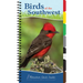 Birds of the Southwest: Your Way to Easily Identify Backyard Birds