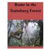 Rome in the Teutoburg Forest