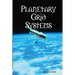 Planetary Grid Systems