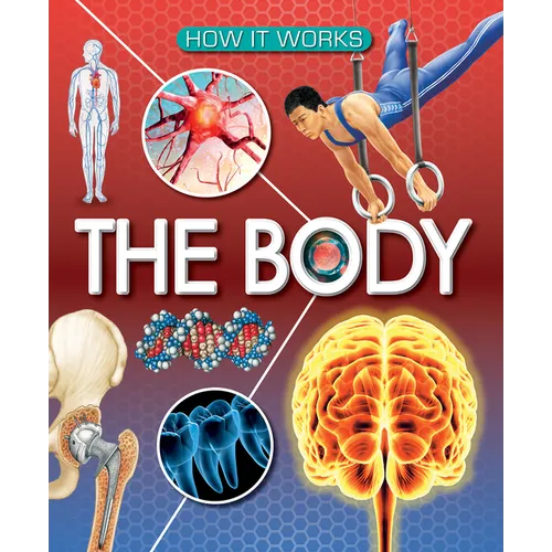 The Body