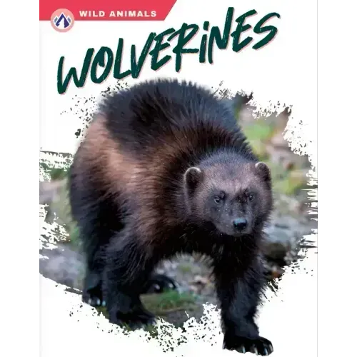 Wolverines
