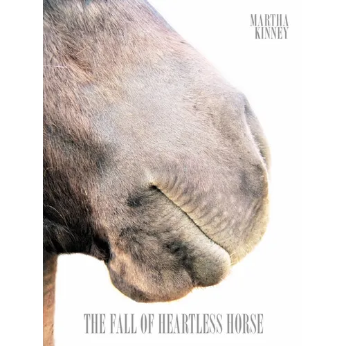 The Fall of Heartless Horse