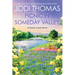 Picnic in Someday Valley: A Heartwarming Texas Love Story