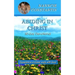 Abiding in Christ: 30-day Devotional