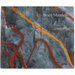 Brice Marden: Let the Painting Make You