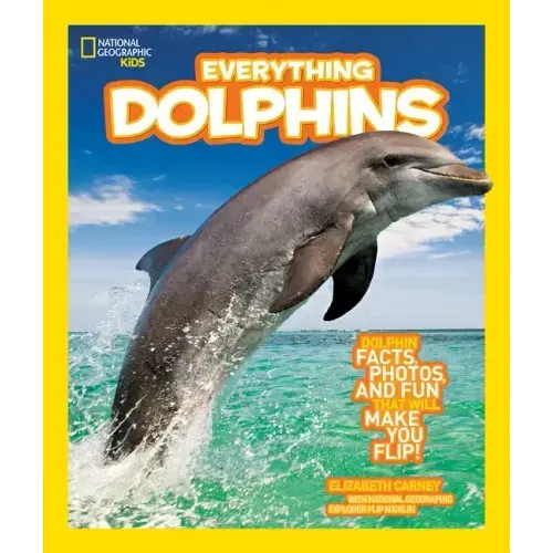 Everything Dolphins