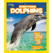 Everything Dolphins