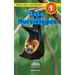 Bats / Murciélagos: Bilingual (English / Spanish) (Inglés / Español) Animals That Make a Difference! (Engaging Readers, Level 1)