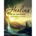 Healing for Our Soul Gardens: Restoration and Wholeness after Sexual Abuse