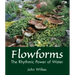 Flowforms: The Rhythmic Power of Water