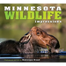 Minnesota Wildlife Impressions