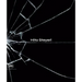 Hito Steyerl: The City of Broken Windows