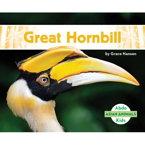 Great Hornbill