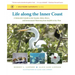 Life along the Inner Coast: A Naturalist's Guide to the Sounds, Inlets, Rivers, and Intracoastal Waterway from Norfolk to Key West