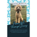 From God, Through Daisy: A Thirty-Day Devotional to Grow Your Awareness of God's Presence in Simple, Everyday Moments