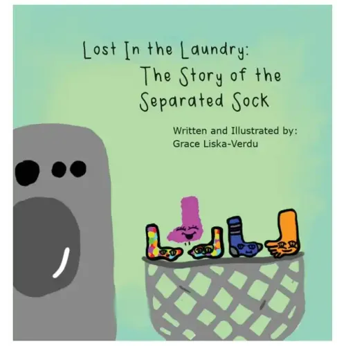 Lost in the Laundry: The Story of the Separated Sock