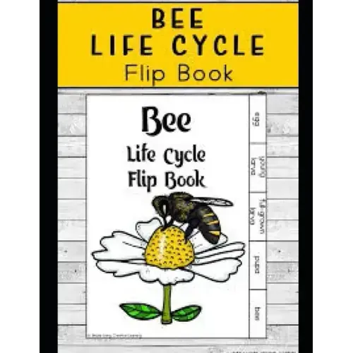 Life Cycle of Bees