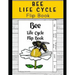 Life Cycle of Bees